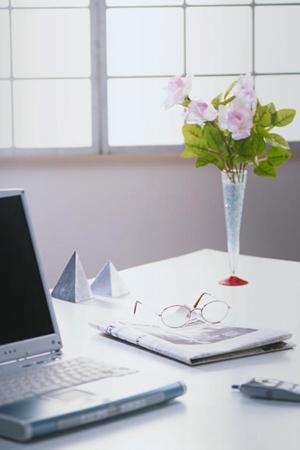 成功事例から学ぶ！ERP導入の効果とスムーズな導入手順