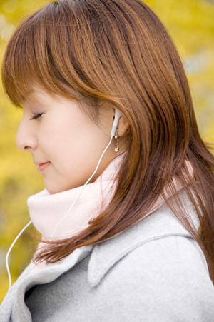 計測等を画像解析ソフトで行いたいなら